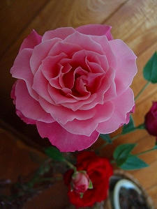 2010_10230002.jpg
