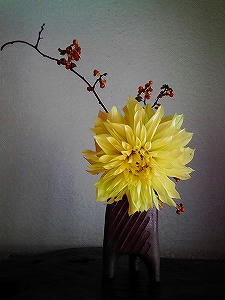 2010_11040015.jpg