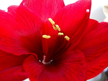 2011_01070002.jpg