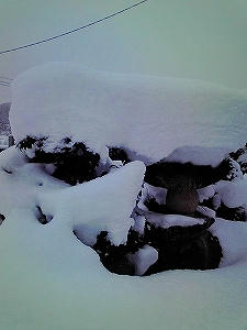 2011_01160001.jpg