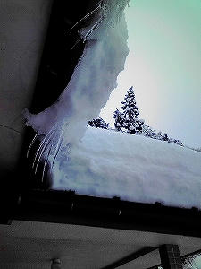 2011_01160002.jpg