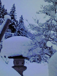 2011_01160003.jpg