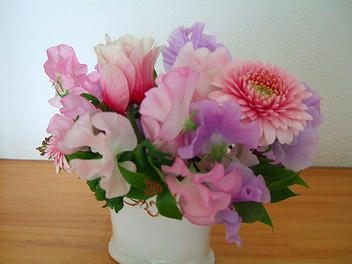 2011_01290004.jpg