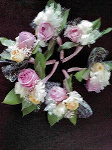 2011_02050003.jpg