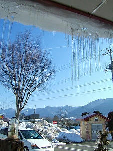 2011_02200007.jpg