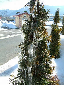 2011_02200008.jpg