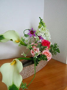 2011_02200017.jpg