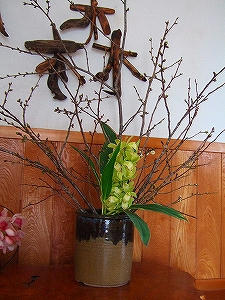 2011_04220003.jpg