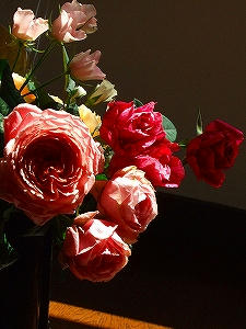 2011_04280002.jpg