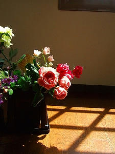 2011_04280003.jpg