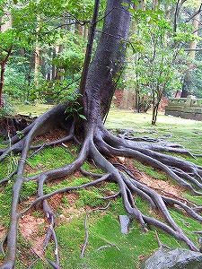 2011_05010007.jpg