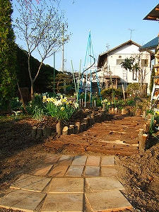 2011_05050014.jpg