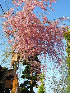 2011_05050013.jpg
