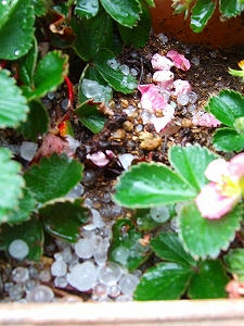 2011_05080005.jpg