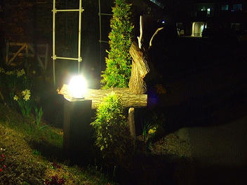 2011_05050007.jpg