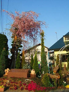 2011_05050011.jpg