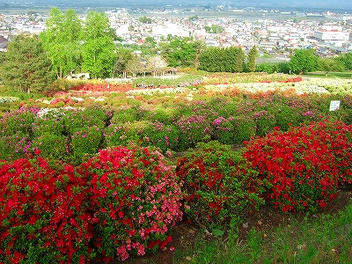 2011_05210007.jpg