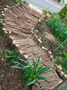 2011_05230005.jpg