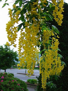 2011_05280001.jpg
