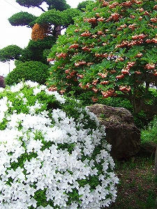 2011_05280009.jpg