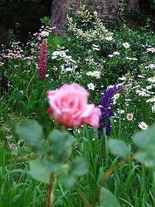 2011_06050005.jpg