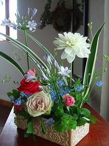 2011_06240012.jpg