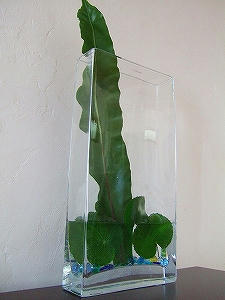 2011_07140003.jpg