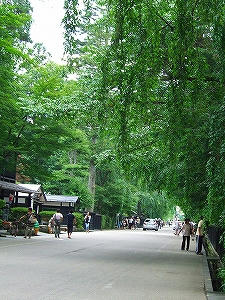 2011_07170003.jpg