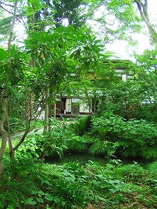 2011_07170007.jpg