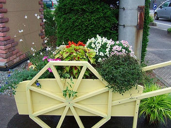 2011_07220002.jpg