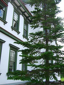 2011_08200012.jpg