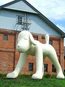 2011_08200029.jpg