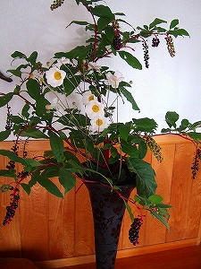 2011_10200003.jpg
