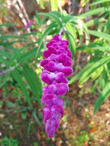 2011_11030008.jpg