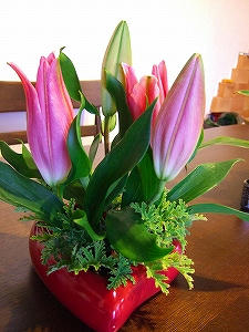 2011_11080010.jpg