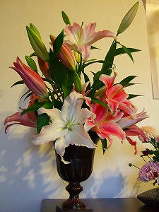 2011_11080011.jpg