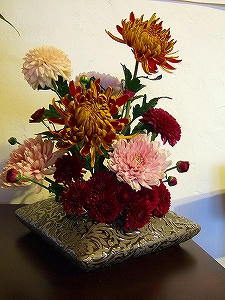 2011_11080012.jpg