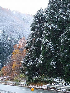 2011_11160001.jpg