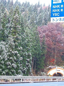 2011_11160003.jpg
