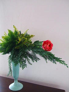 2011_11250003.jpg