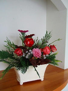 2011_11250009.jpg