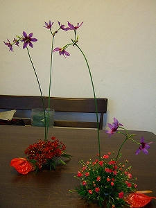 2011_12090004.jpg