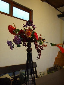 2011_12090006.jpg