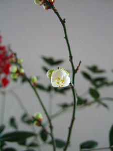 2012_01040006.jpg