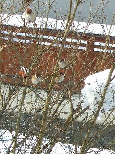 2012_01120019.jpg