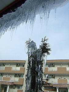 2012_01120020.jpg