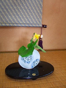 2012_01240014.jpg