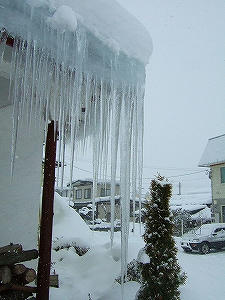 2012_02010004.jpg