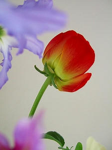2012_01290003.jpg