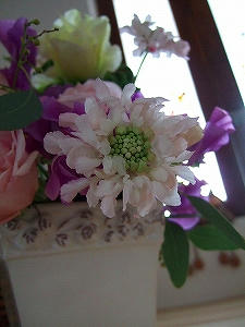 2012_01290008.jpg